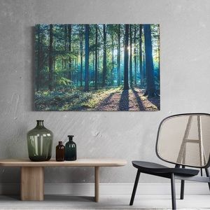 Picture Morning Hike 37” by 26” NEW!